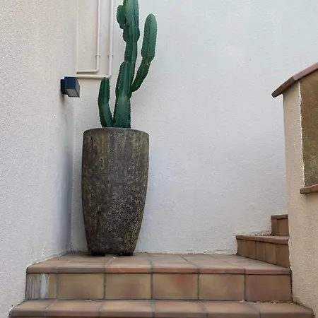 Holiday home Casa Tanio 150m Walking From The Village And Town Of Tamariu