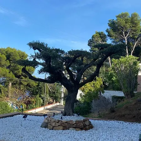 Casa Tanio 150m Walking From The Village And Town Of Holiday home Tamariu