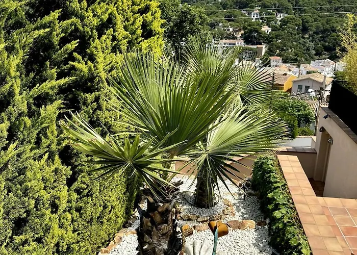 Tatil Evi Casa Tanio 150m Walking From The Village And Town Of Tamariu